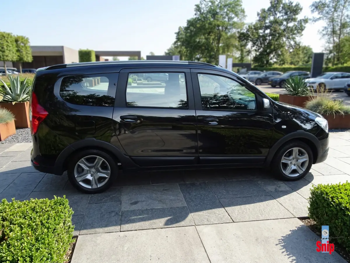 1.2 TCe Série Limitée Stepway 7p.