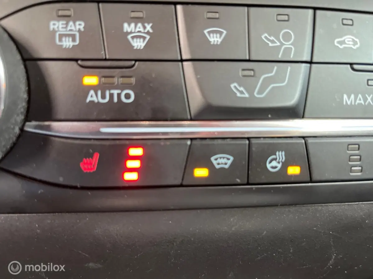 1.0 EcoBoost Active / B&O / APPLE CARPLAY