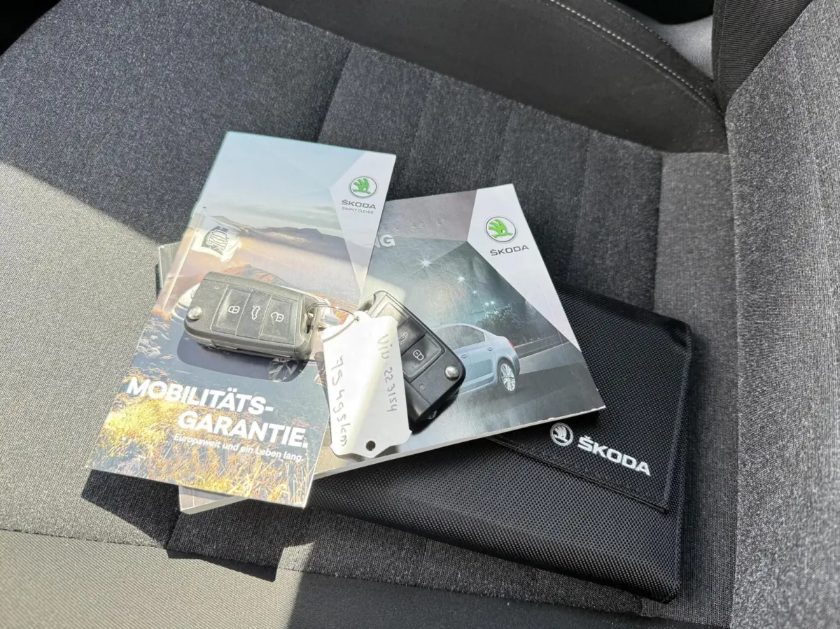 1.0 TSI Greentech Style Business | Automaat | Carplay | Trekhaak