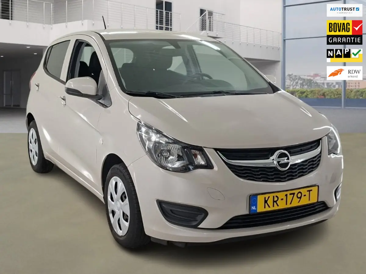 1.0 ecoFLEX Edition Automaat 1e Eig. 26.200 km +NAP NL-auto