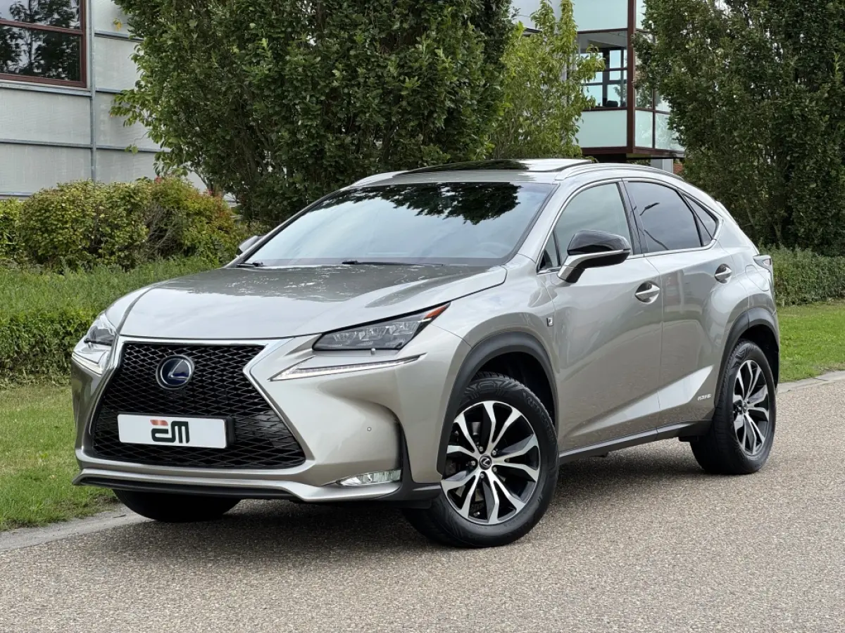 300h AWD F Sport Trekhaak Schuifdak