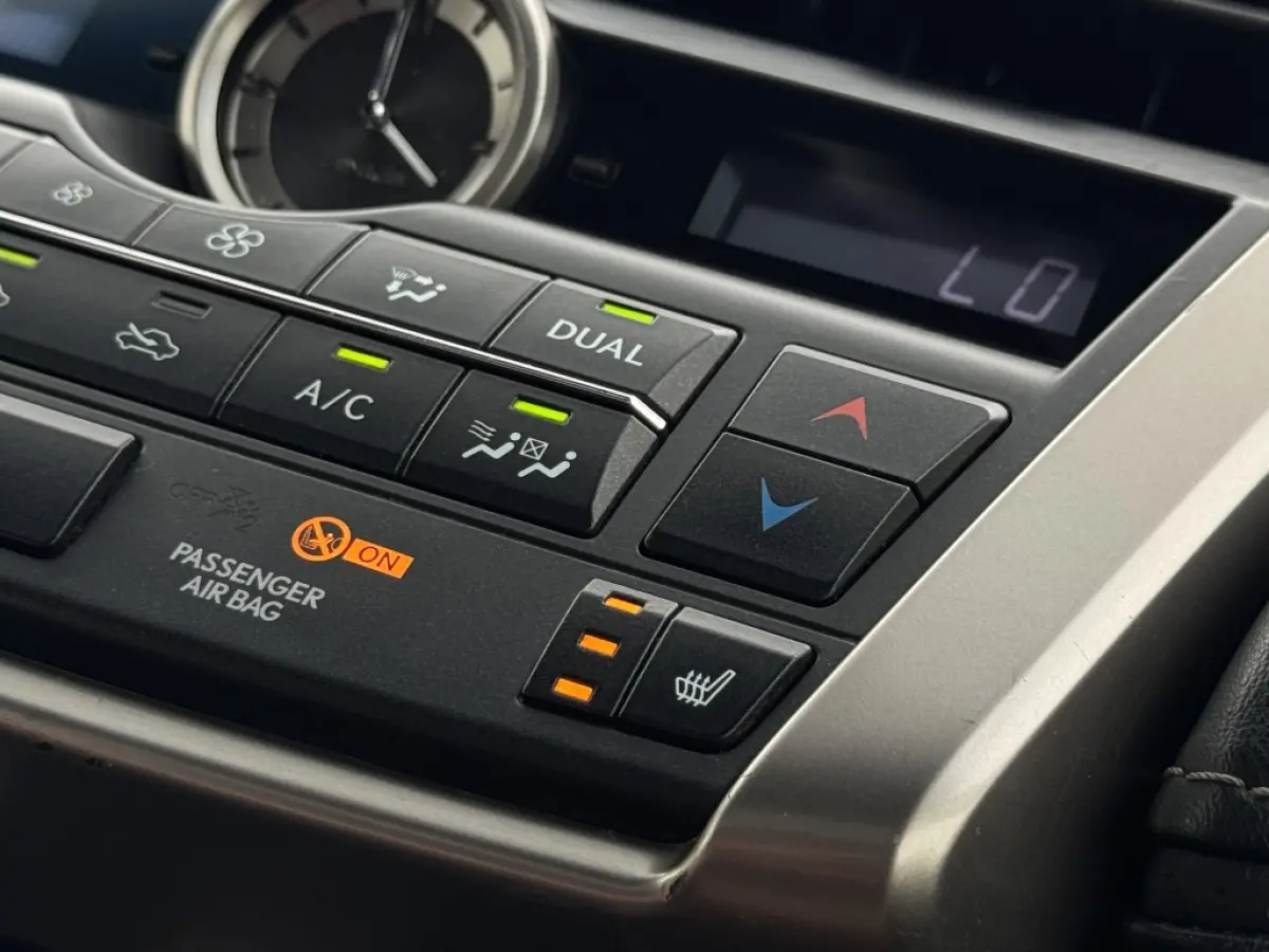 300h AWD F Sport Trekhaak Schuifdak