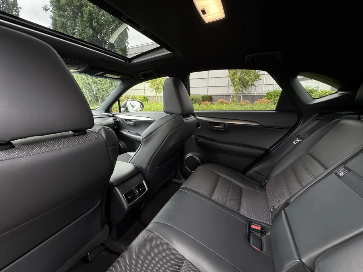 300h AWD F Sport Trekhaak Schuifdak