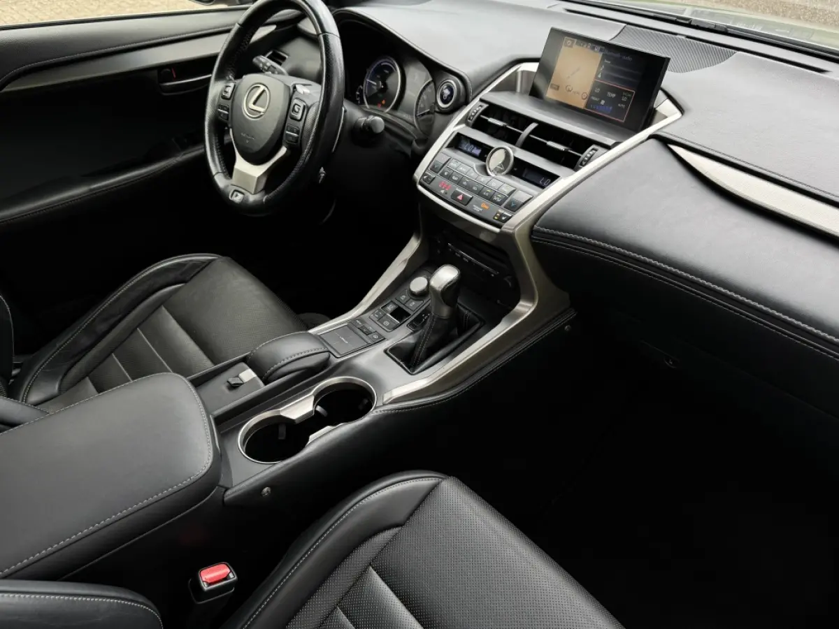 300h AWD F Sport Trekhaak Schuifdak