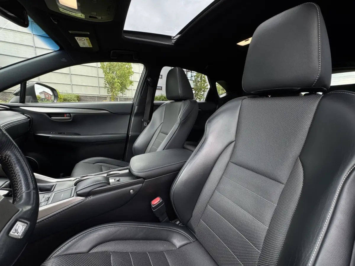 300h AWD F Sport Trekhaak Schuifdak