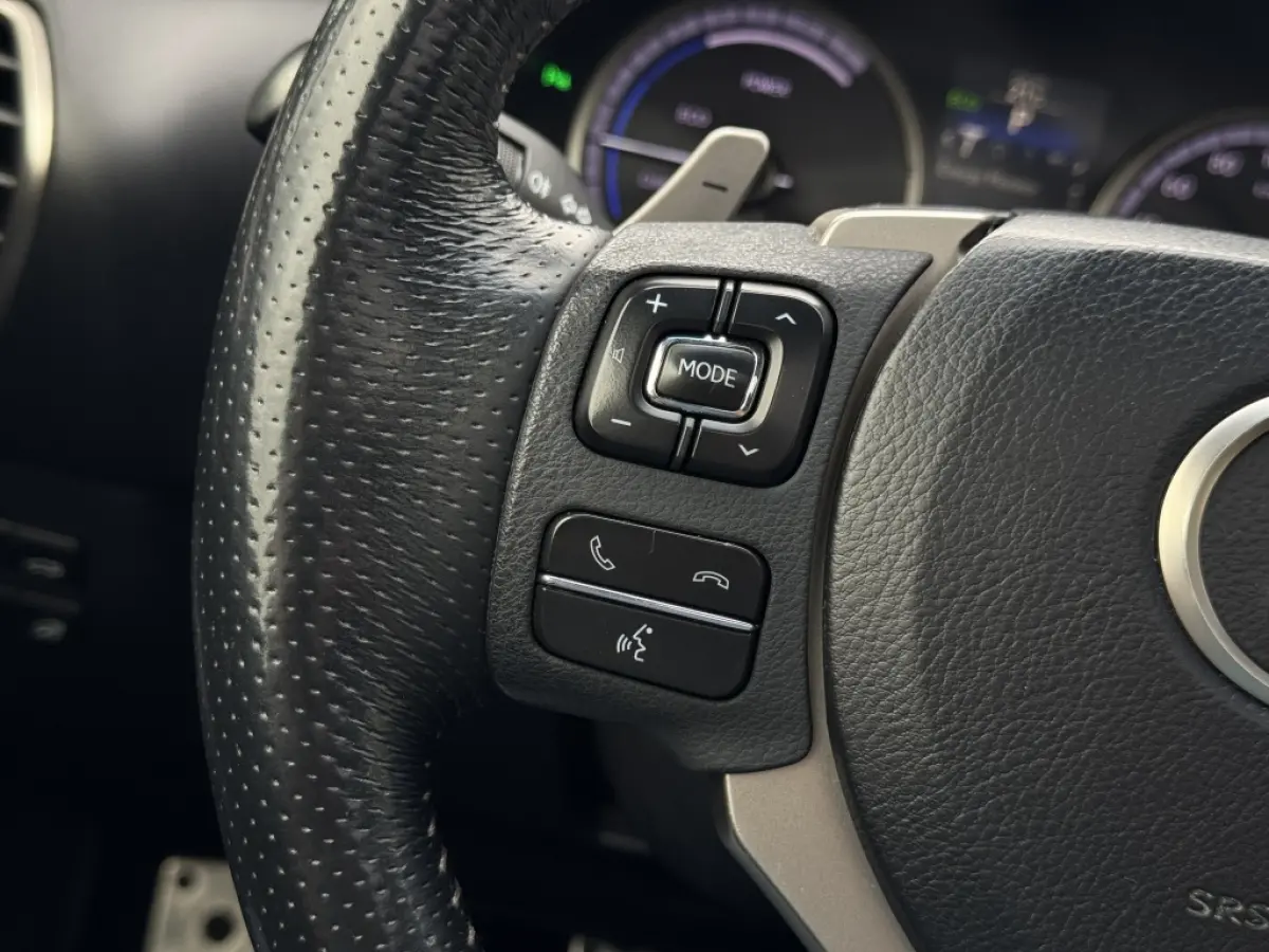 300h AWD F Sport Trekhaak Schuifdak