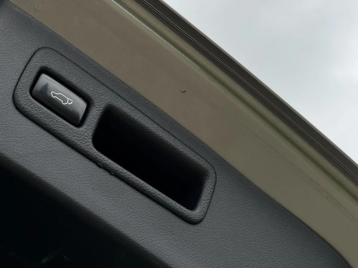 300h AWD F Sport Trekhaak Schuifdak