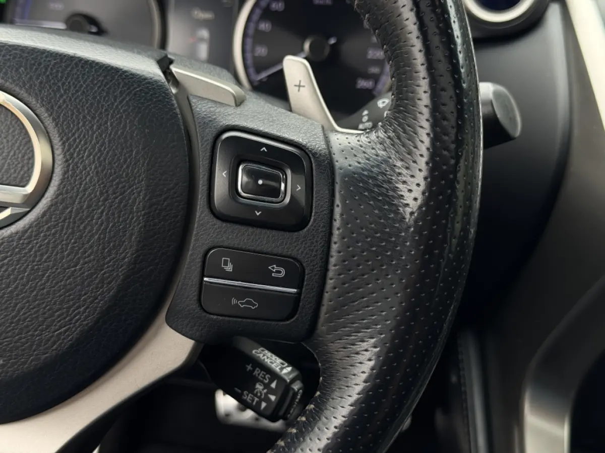 300h AWD F Sport Trekhaak Schuifdak