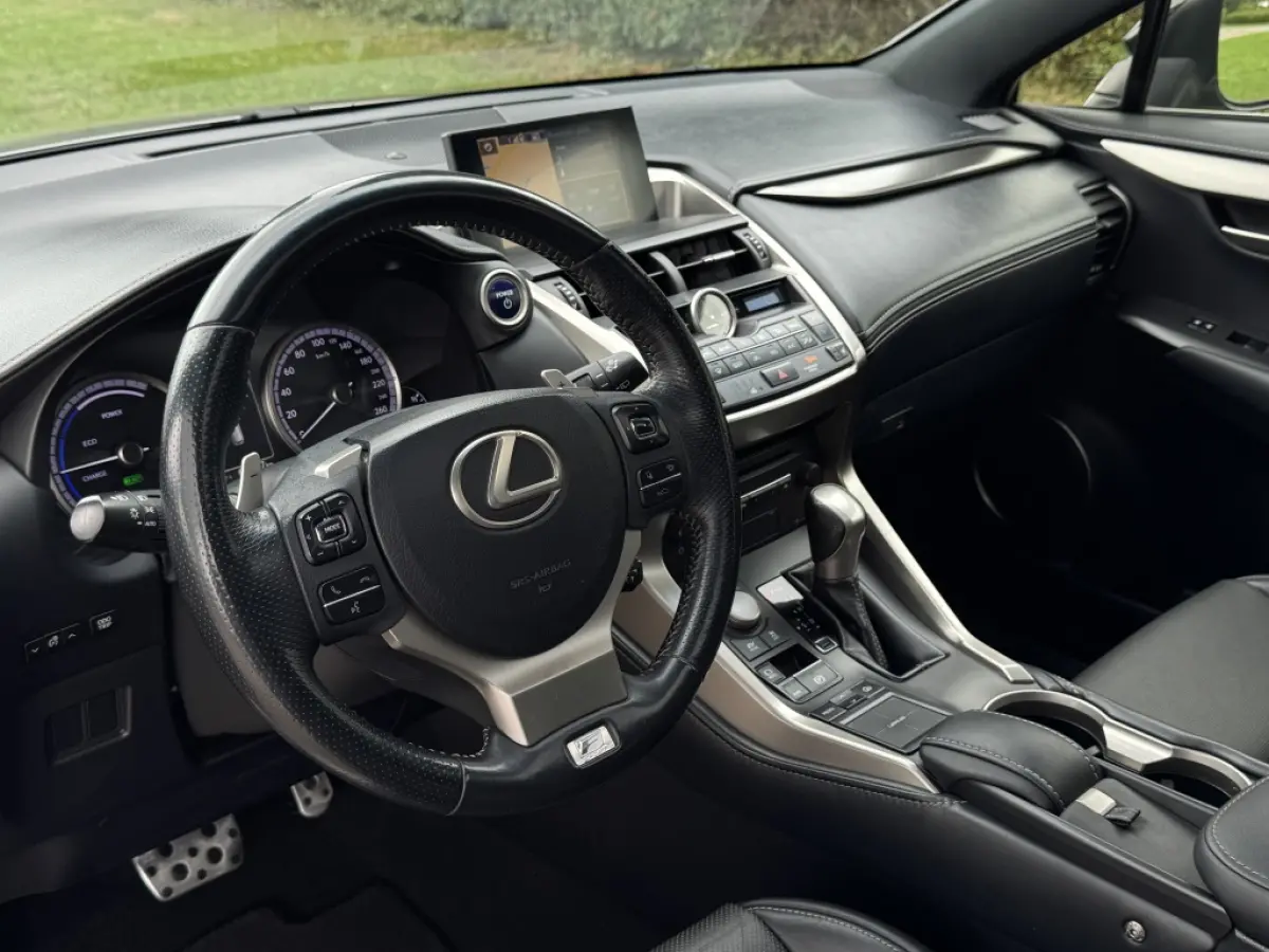 300h AWD F Sport Trekhaak Schuifdak