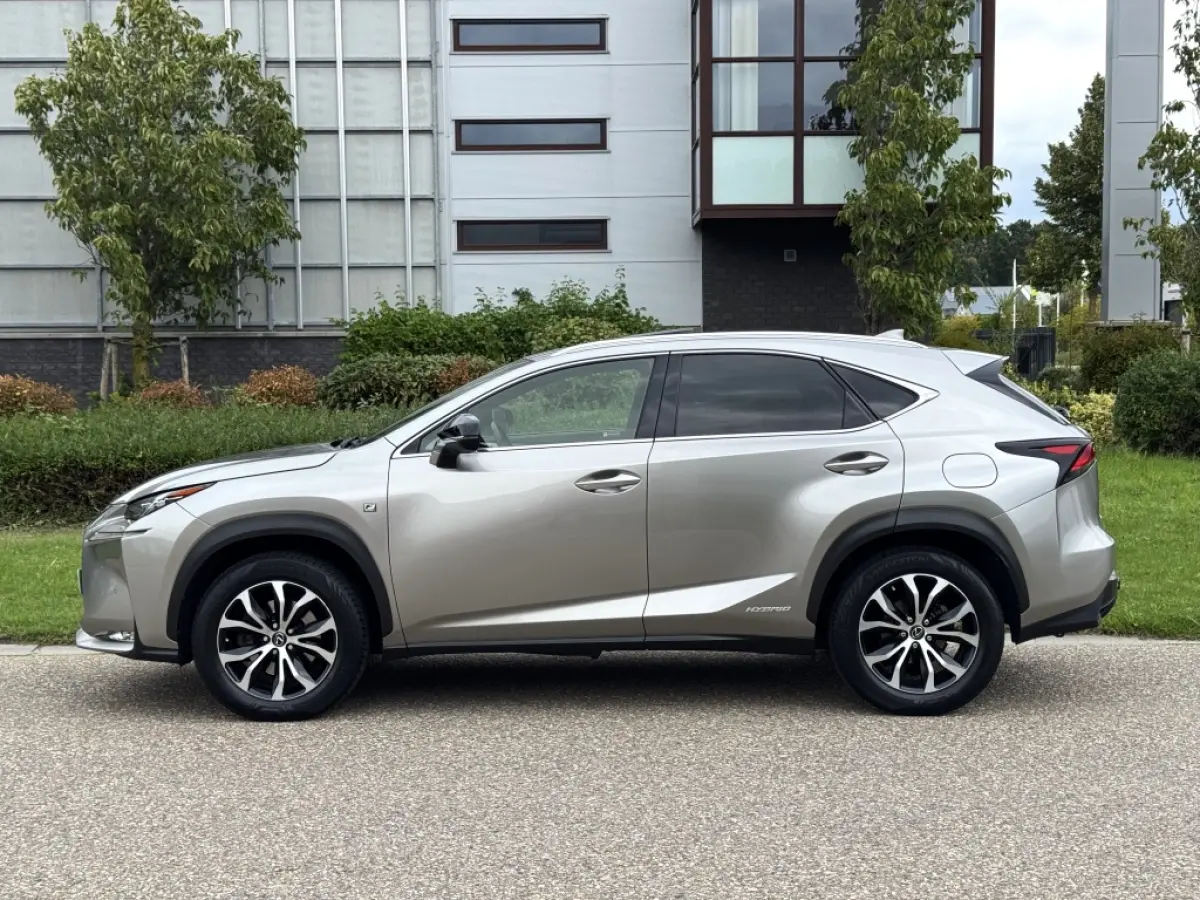300h AWD F Sport Trekhaak Schuifdak