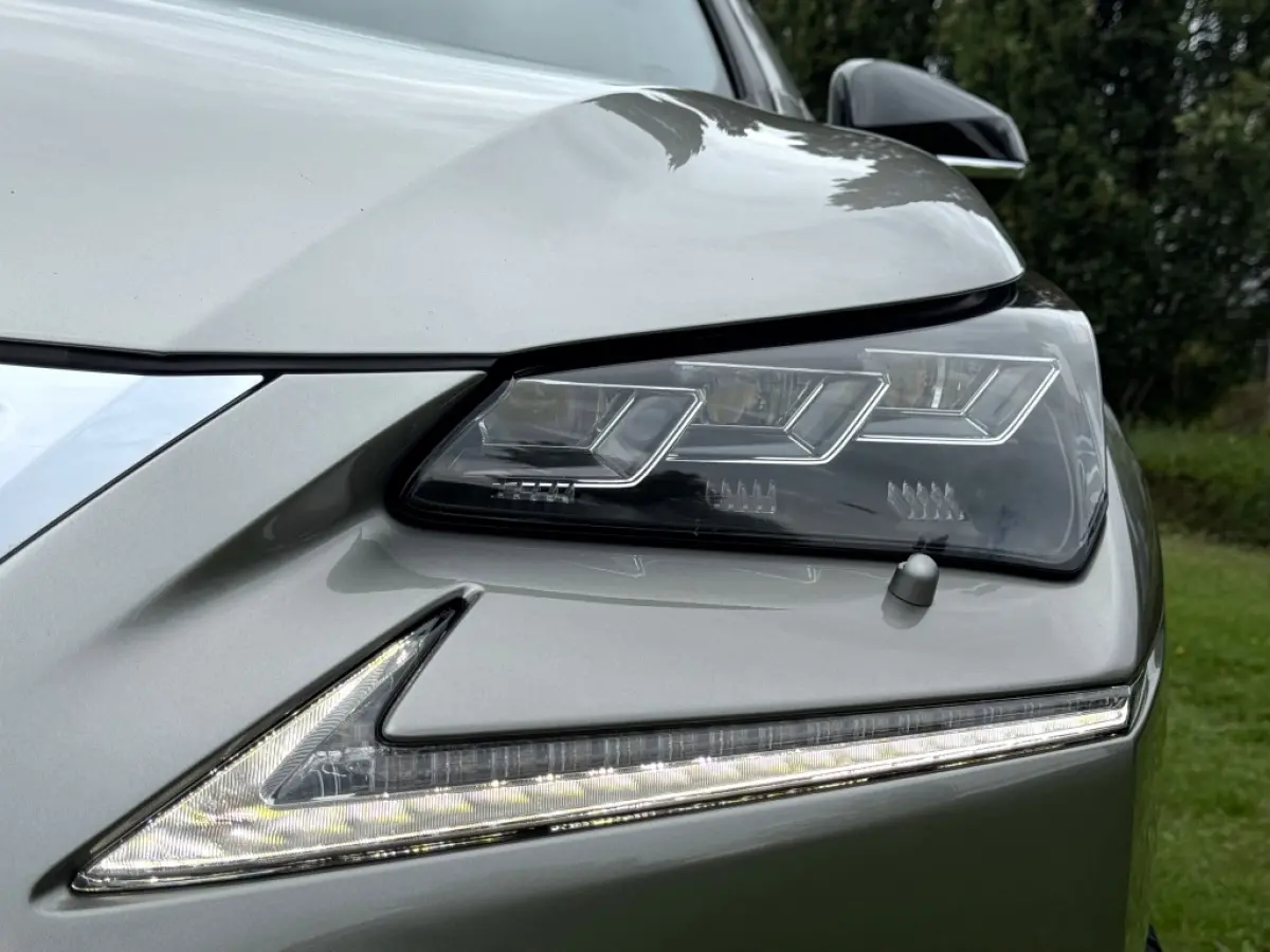 300h AWD F Sport Trekhaak Schuifdak
