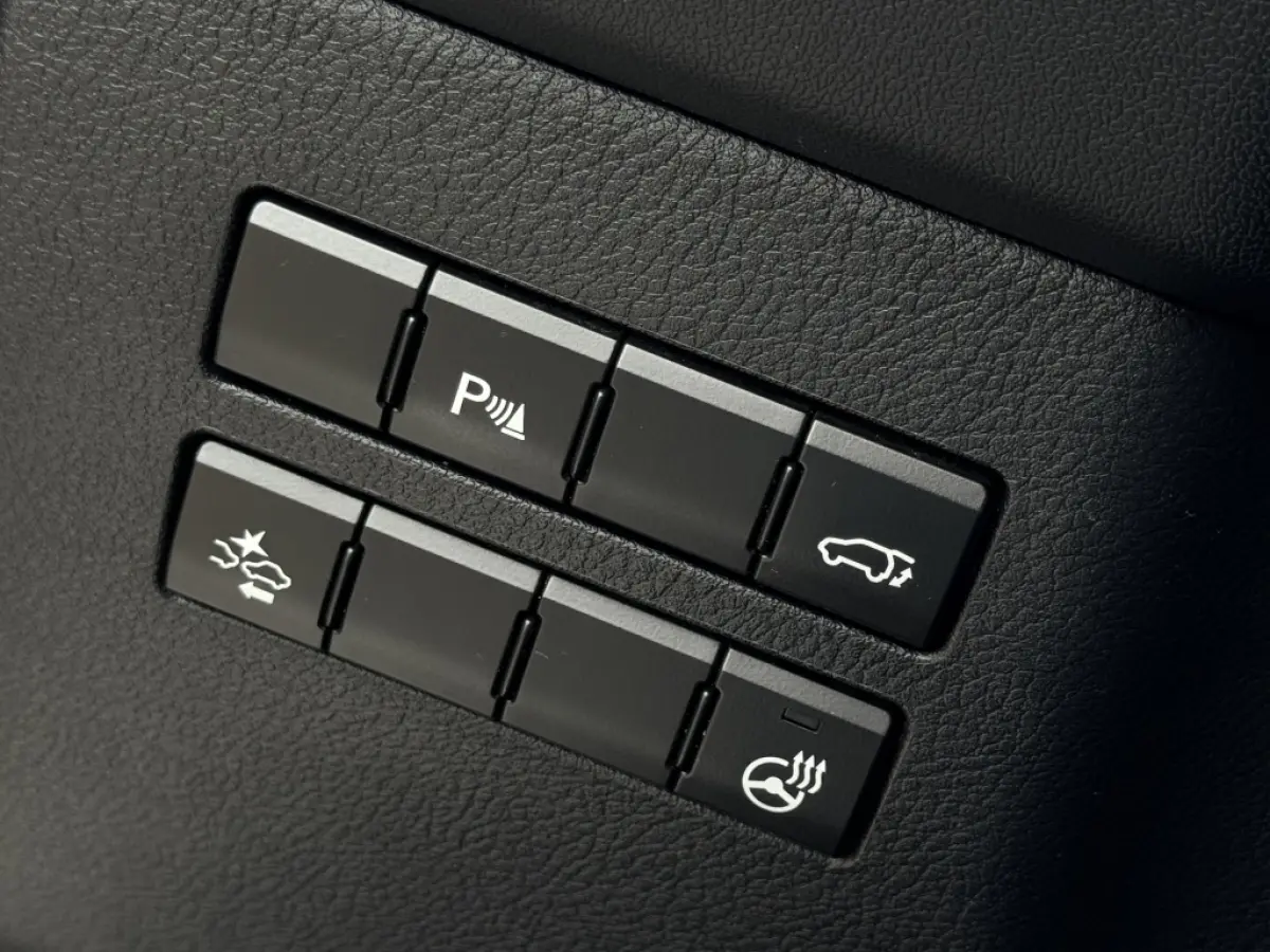 300h AWD F Sport Trekhaak Schuifdak