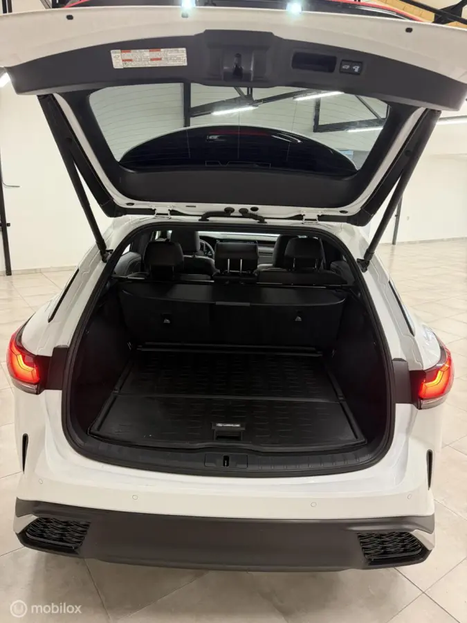 450h+ Plug-in Hybrid F-Sport