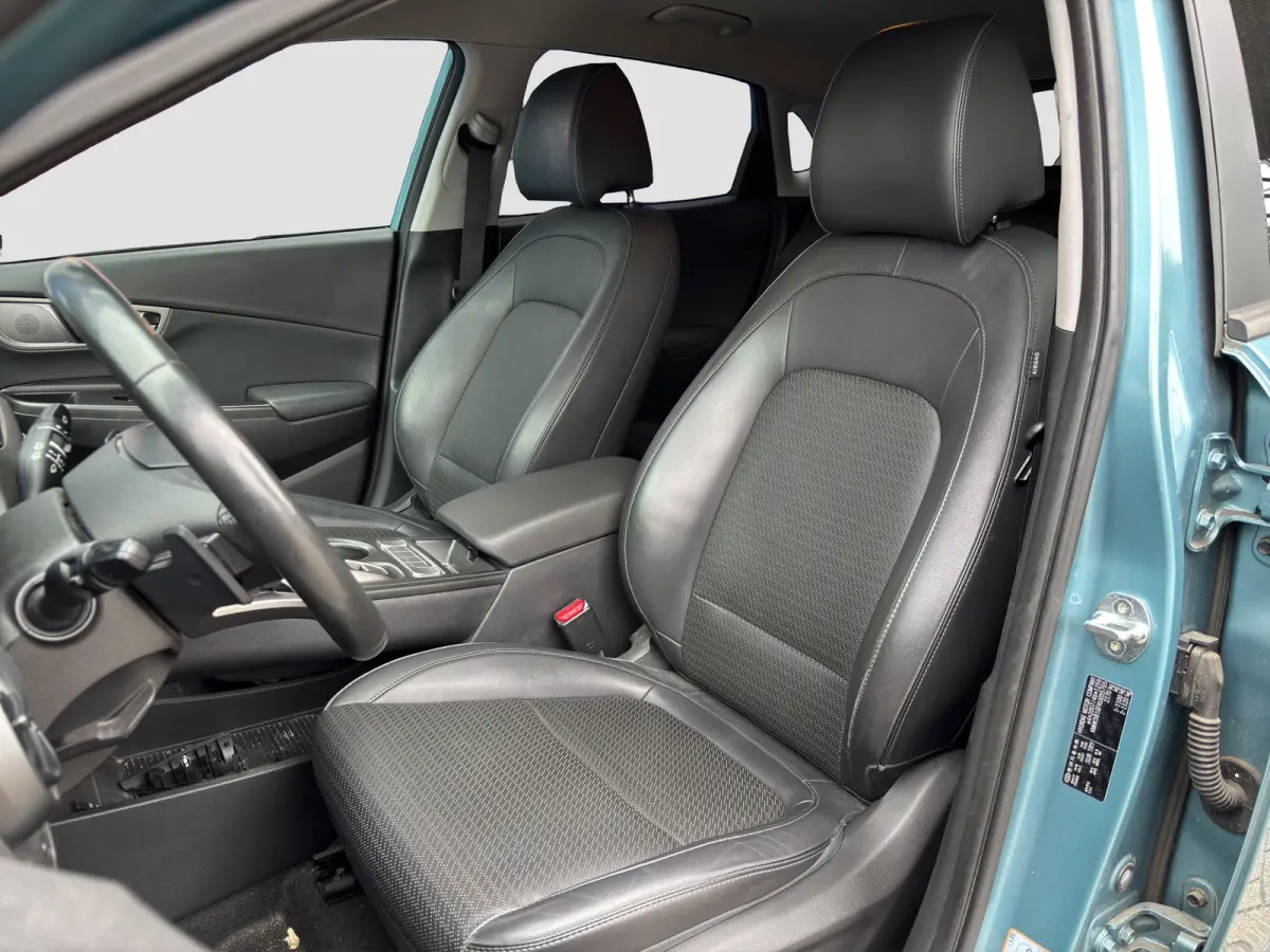 Premium 64 kWh | Stoelventilatie | Adap. Cruise | Leder | Adap. Cruise | Apple Carplay