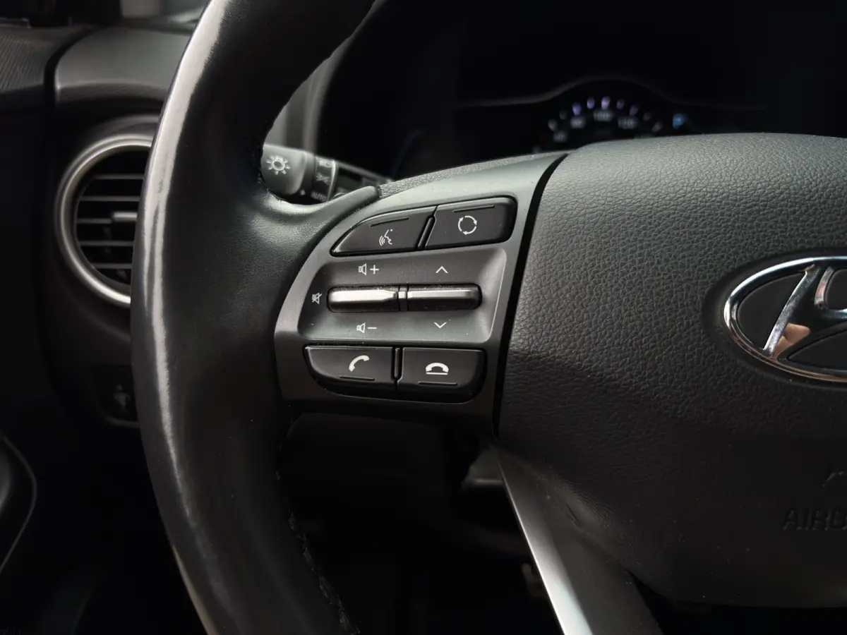 Premium 64 kWh | Stoelventilatie | Adap. Cruise | Leder | Adap. Cruise | Apple Carplay