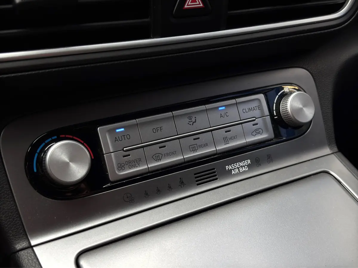 Premium 64 kWh | Stoelventilatie | Adap. Cruise | Leder | Adap. Cruise | Apple Carplay