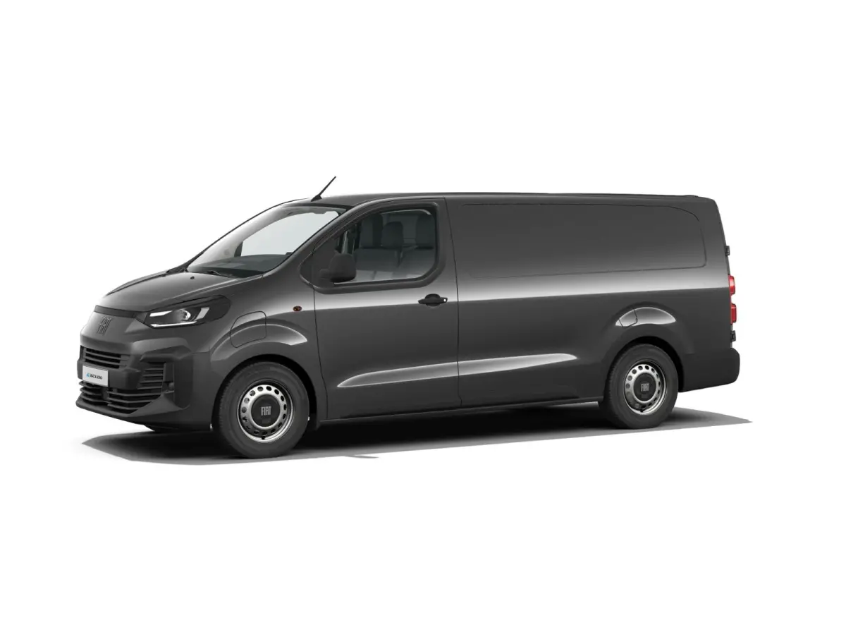 Professional Standaard | ABS met noodremassistentie / ESP en Hill Start Assist | Automatisch inschakelende verlichting en ruitenwissers | Cruise control met snelheidsbegrenzer (bediening ach