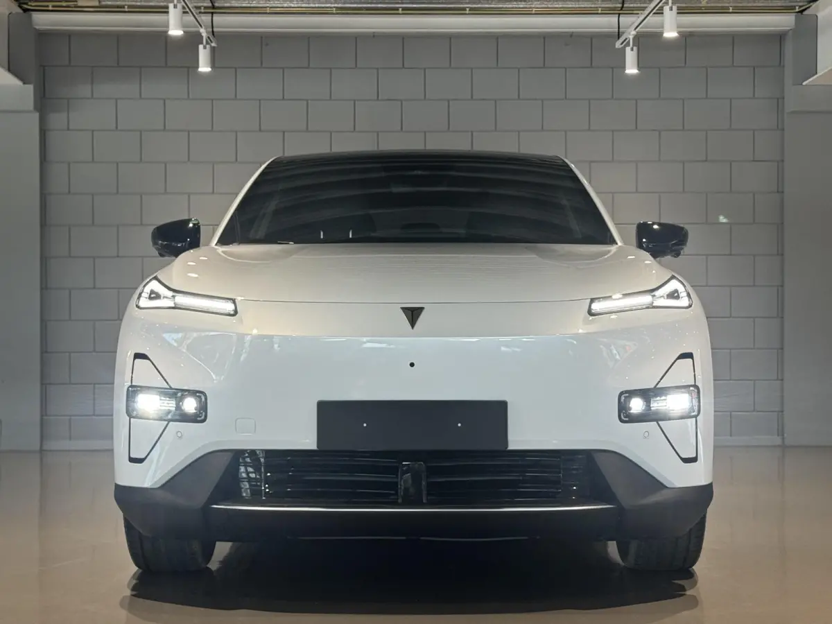 Pro 68.8 kWh | 272PK | 485km |