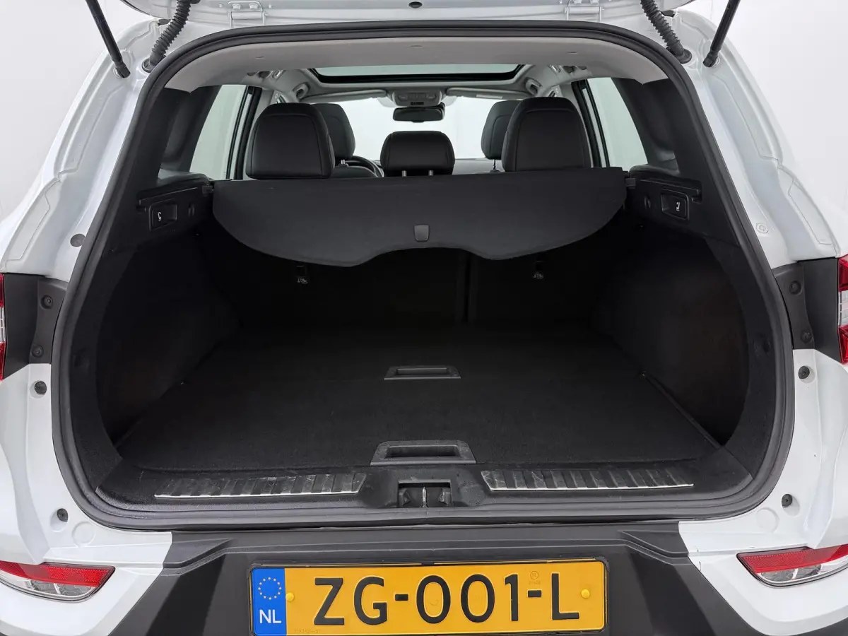 TCe 160 GPF Intens | Trekhaak | Panoramadak | Stoel- & voorruitverw. |