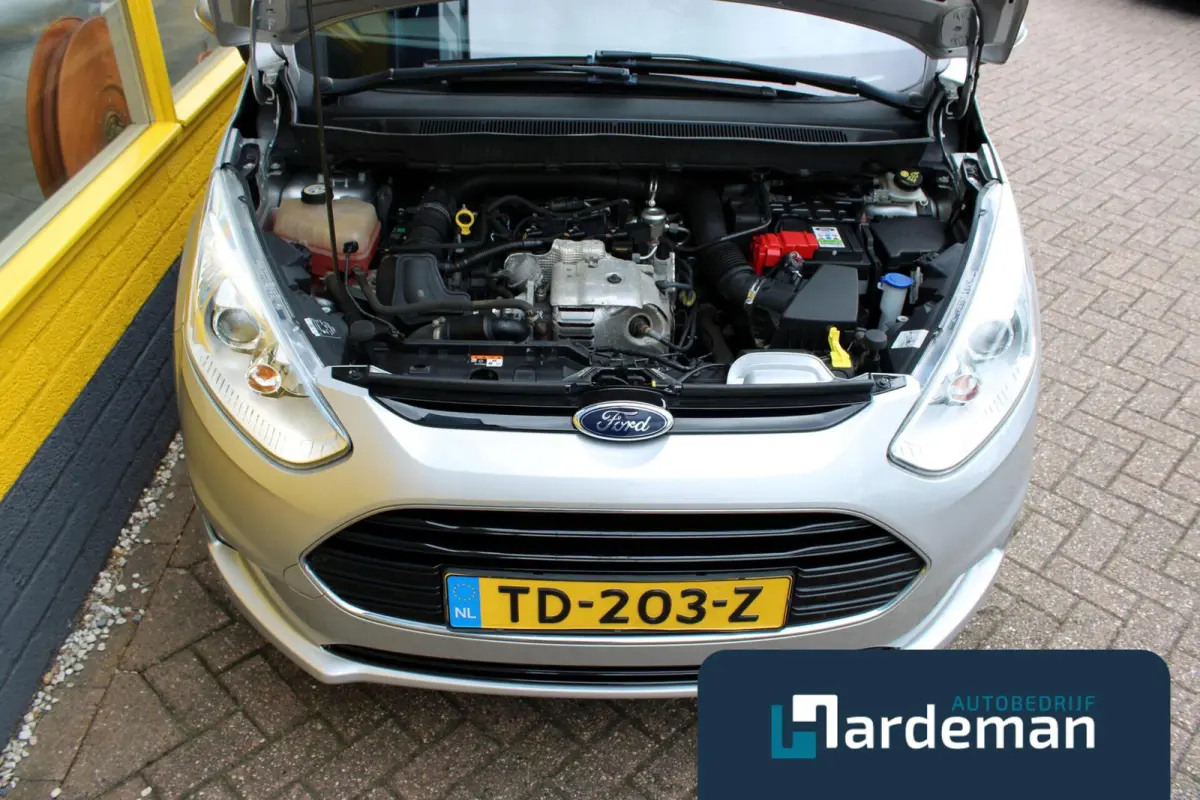1.0 EcoBoost Titanium Navi Clima Trekhaak