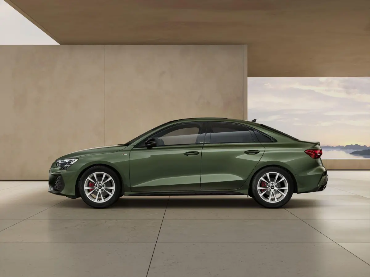 1.5 TFSI 150pk S Edition | Tech Plus | Panoramadak