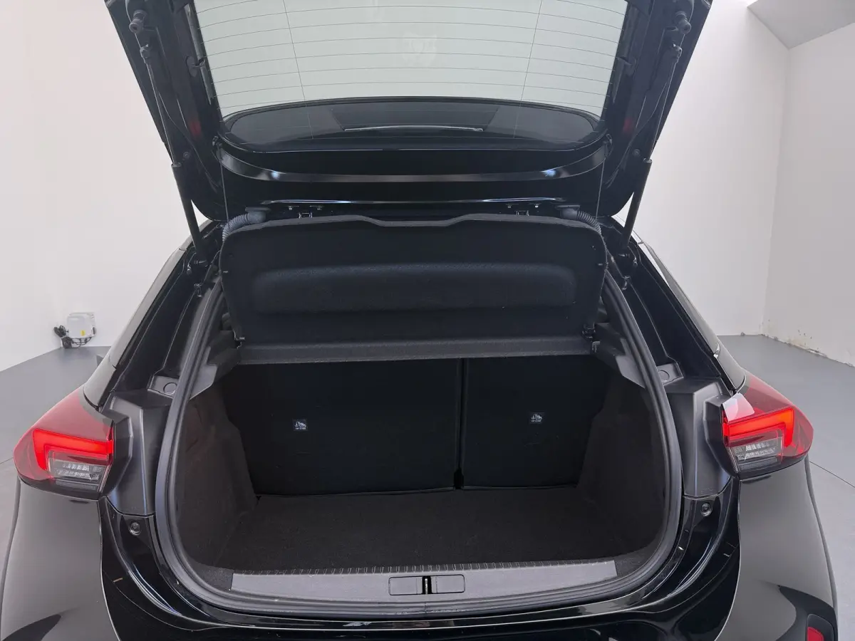 1.2 Turbo GS 100pk | NIEUW | 8jr. garantie! | Achteruitrijcamera | Apple Carplay/Android Auto|telefoonintegratie premium | Cruise control