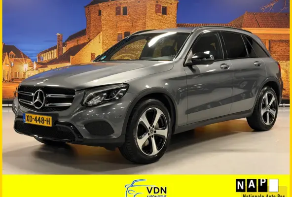 250 4Matic Aut Trekhaak Camera LED