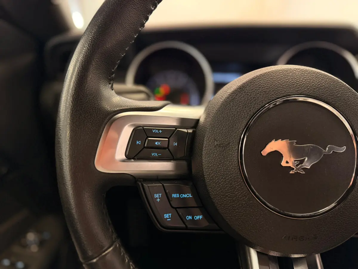 2.3 EcoBoost Shelby 500 uitgevoerd Led Climate Control Dik!