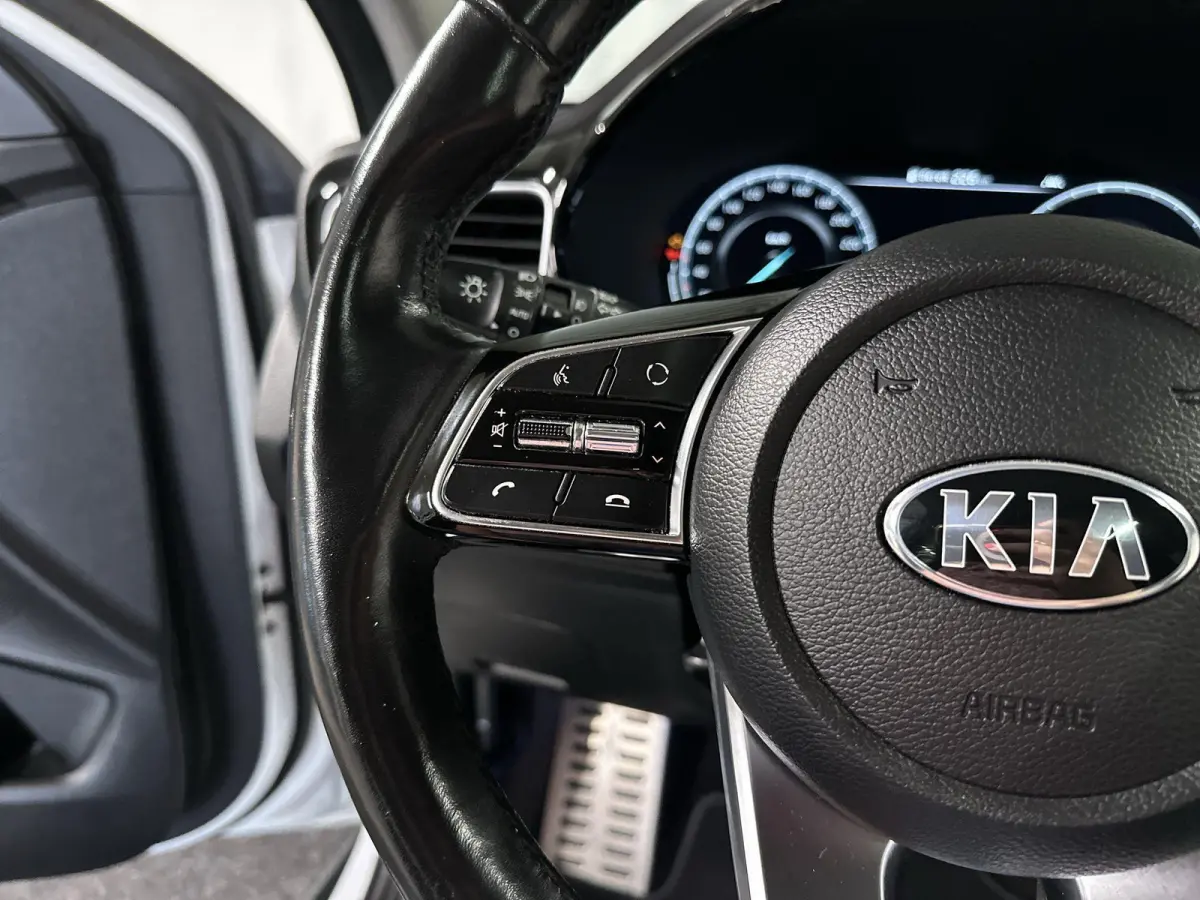 1.6 GDi PHEV ExecutiveLine Automaat | Leder | Pano | SOH 95.5%