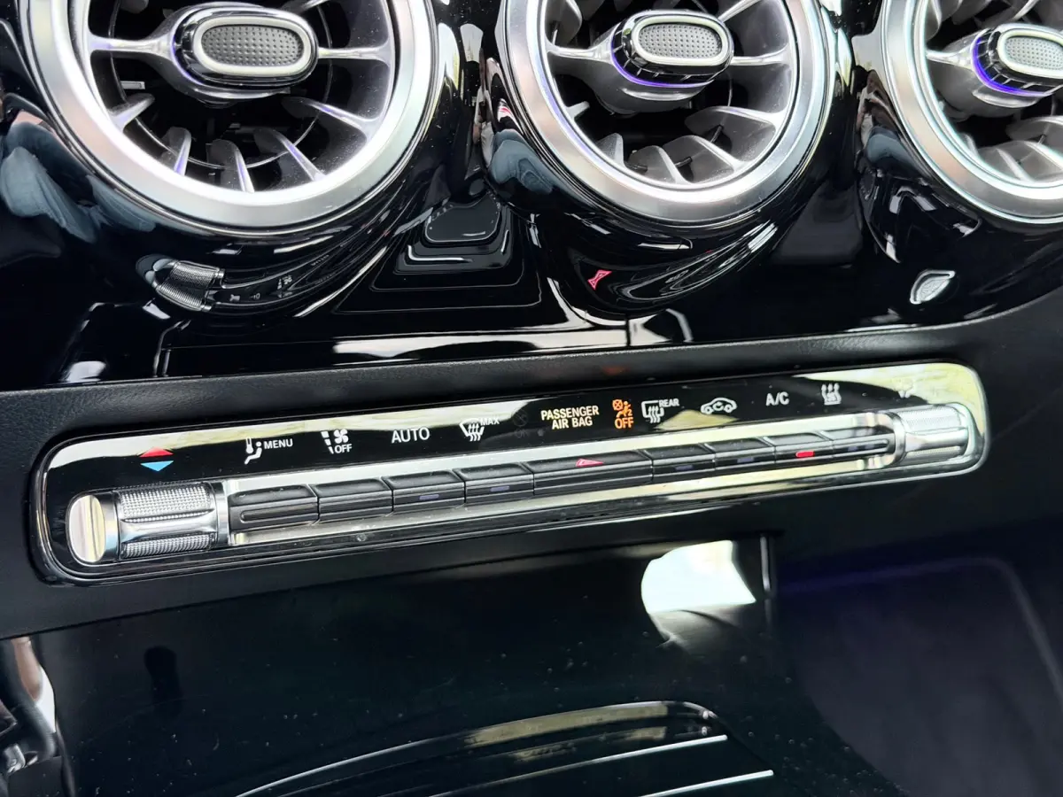 250 e Premium Plus Pano/Camera/Sfeer