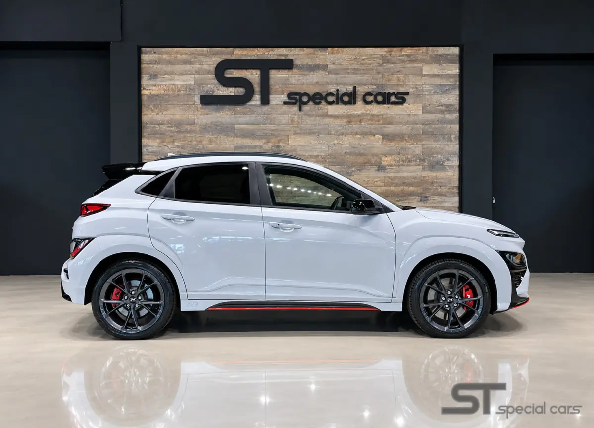 2.0 T-GDI N Performance 2WD|BTW