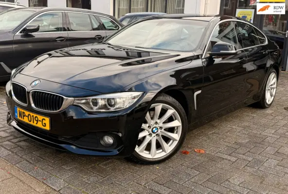 420i Centennial Executive,Trekhaak,L.M.Velgen,Navigatie,Climate control,/Cruise control