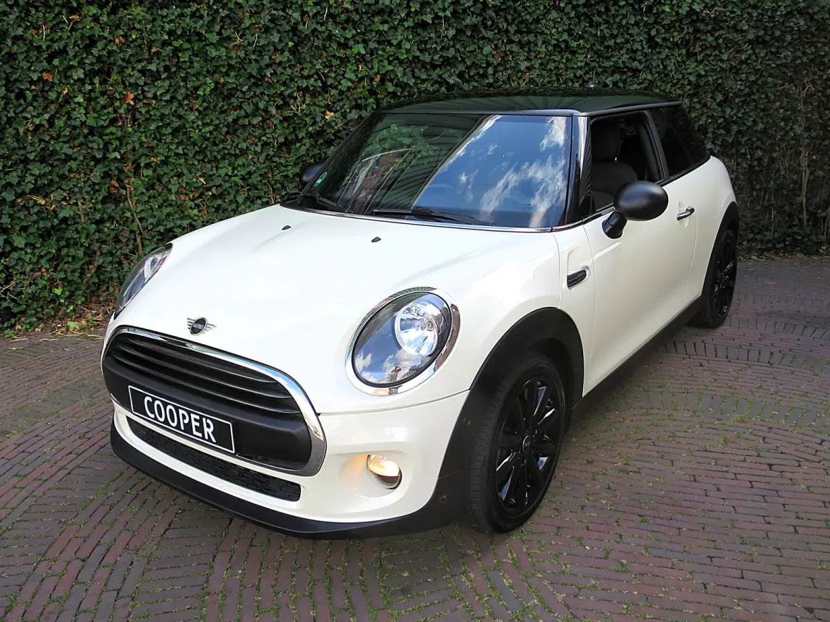 1.5 Salt F56 met Navi, BT, Apple Carplay, Park.ass en 17"
