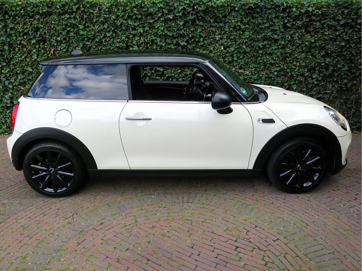 1.5 Salt F56 met Navi, BT, Apple Carplay, Park.ass en 17"