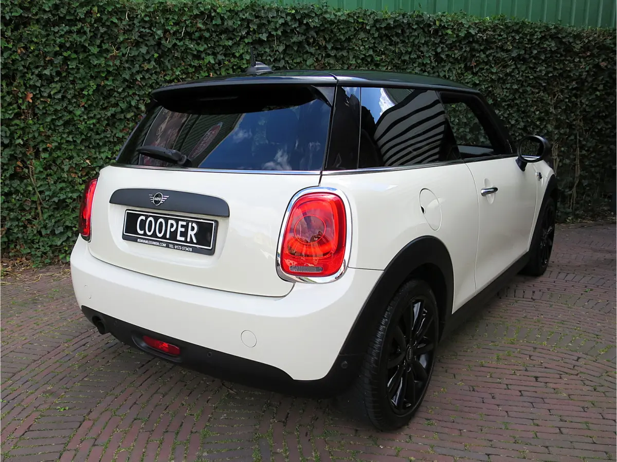 1.5 Salt F56 met Navi, BT, Apple Carplay, Park.ass en 17"