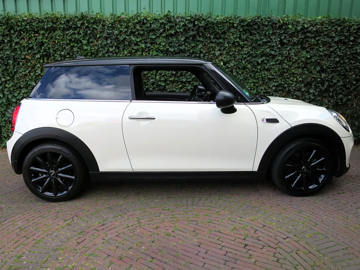1.5 Salt F56 met Navi, BT, Apple Carplay, Park.ass en 17"