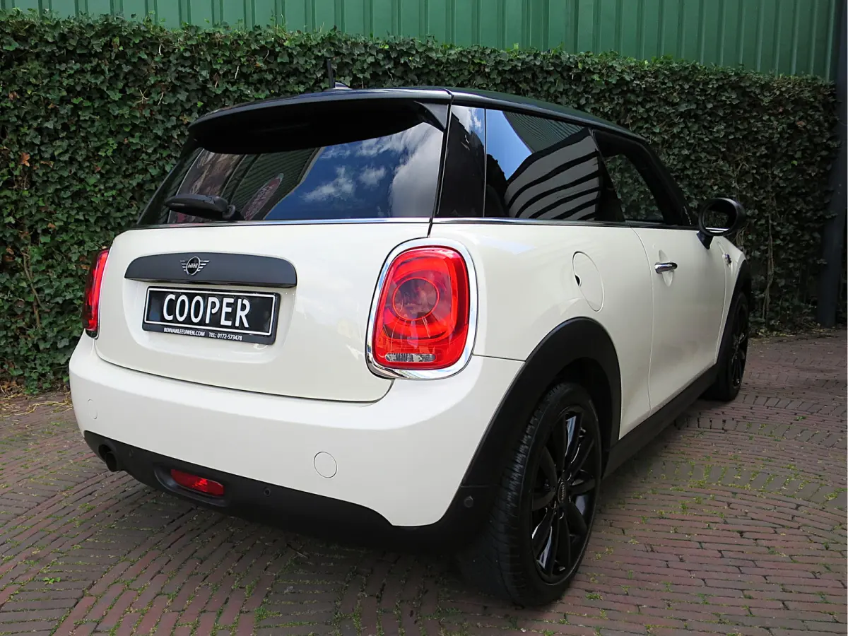 1.5 Salt F56 met Navi, BT, Apple Carplay, Park.ass en 17"