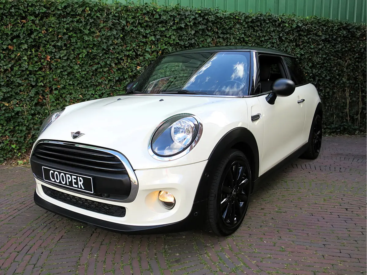 1.5 Salt F56 met Navi, BT, Apple Carplay, Park.ass en 17"