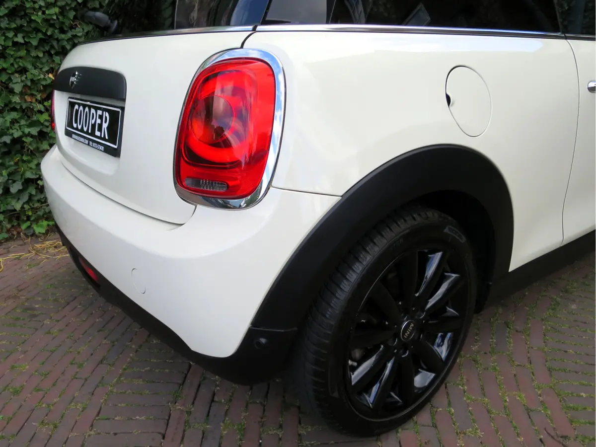 1.5 Salt F56 met Navi, BT, Apple Carplay, Park.ass en 17"