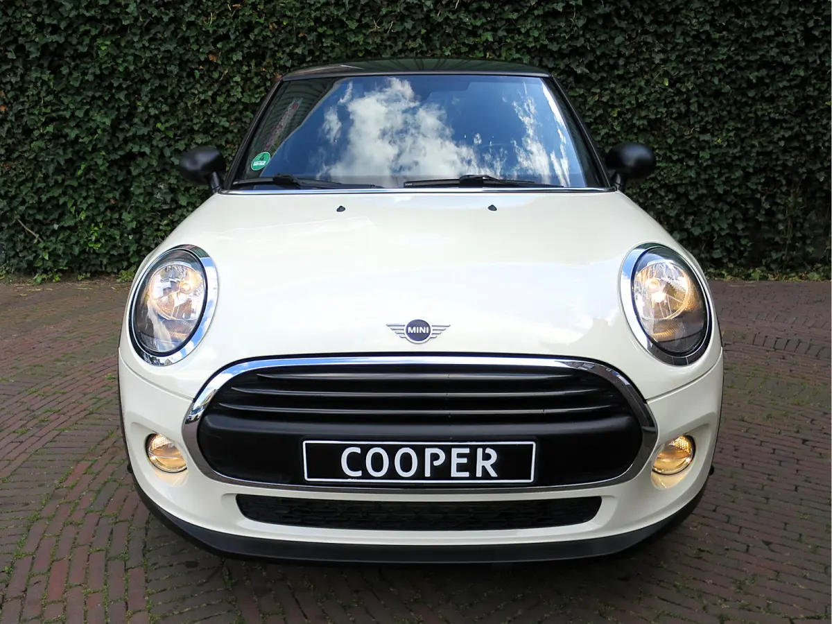 1.5 Salt F56 met Navi, BT, Apple Carplay, Park.ass en 17"