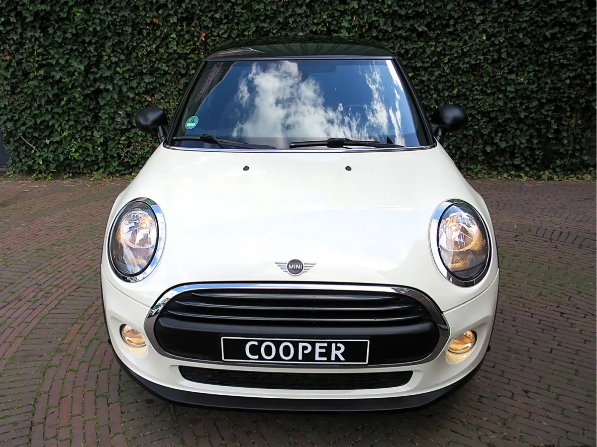 1.5 Salt F56 met Navi, BT, Apple Carplay, Park.ass en 17"