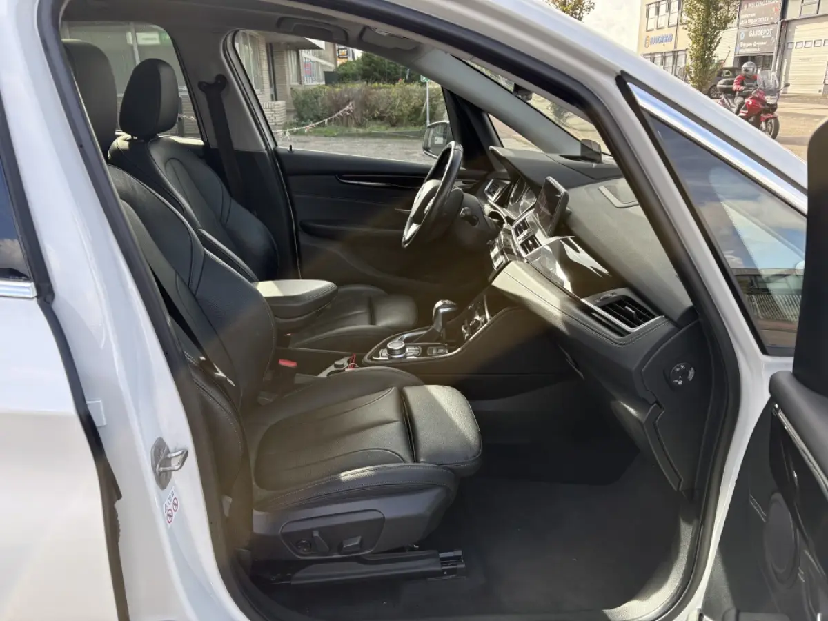 225xe iPerformance | Hybride | Panodak | Leder