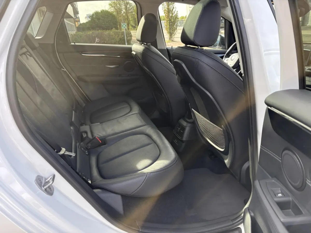 225xe iPerformance | Hybride | Panodak | Leder