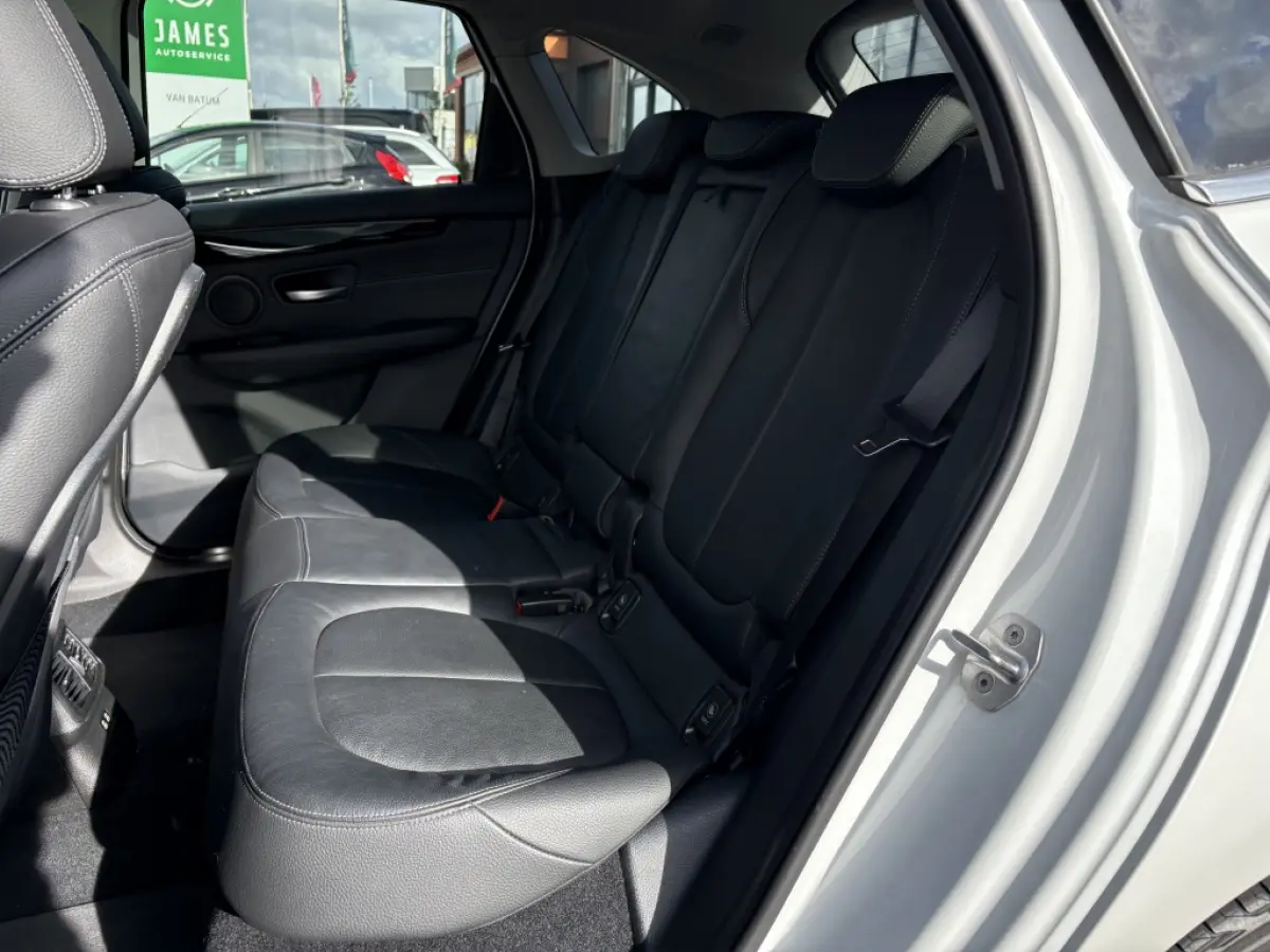 225xe iPerformance | Hybride | Panodak | Leder
