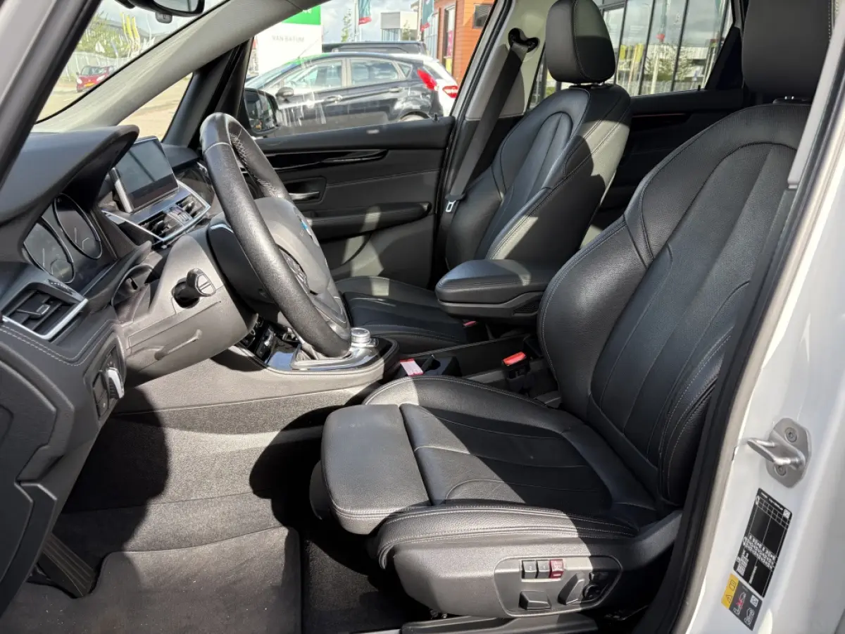 225xe iPerformance | Hybride | Panodak | Leder