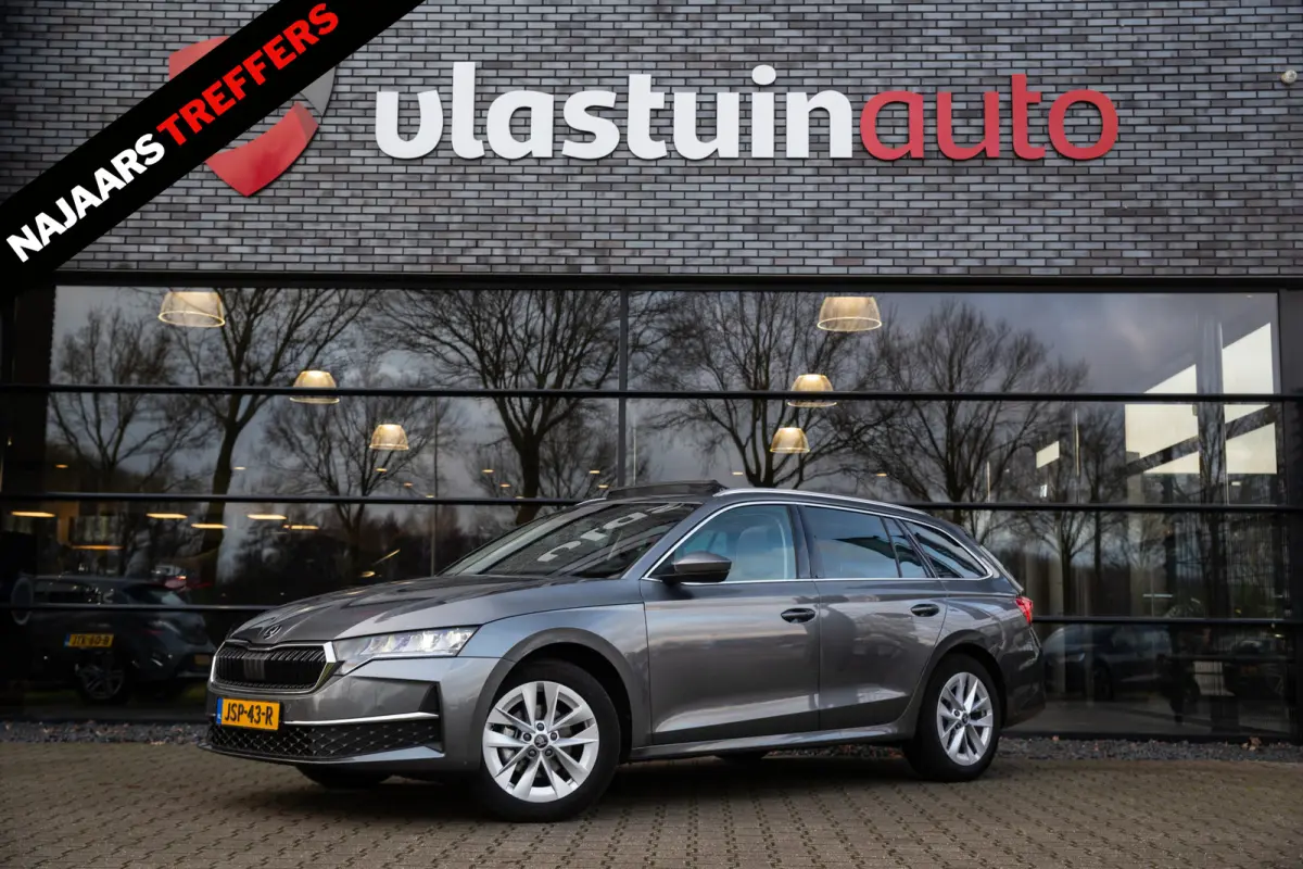 1.5 TSI MHEV Business Edition , Panoramadak, Stuur/stoelverwarming,