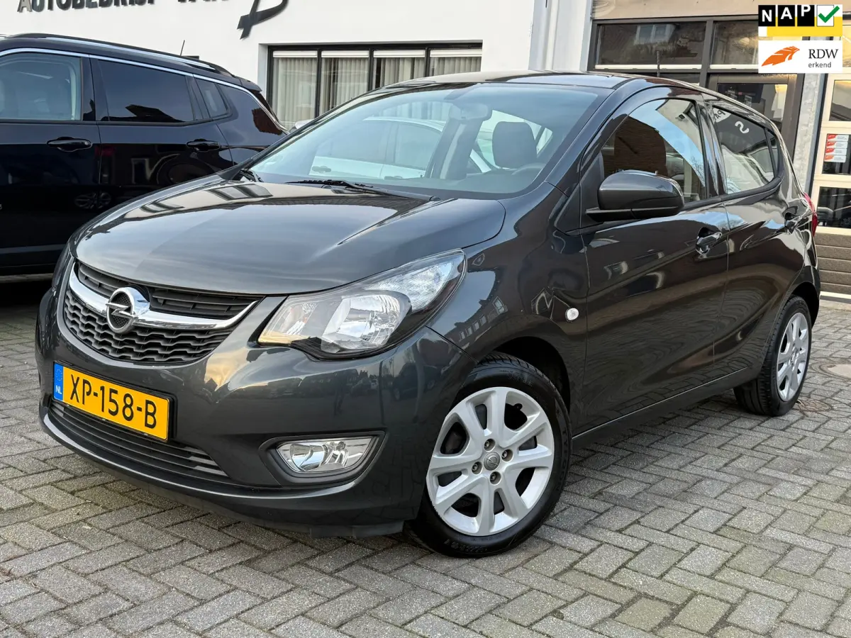 1.0 ecoFLEX Edition automaat,Apple Carplay/Android,Navigatie,Airco,Cruise control