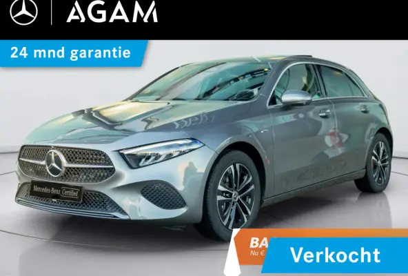 Hatchback 250 e Business Line Panorama dak