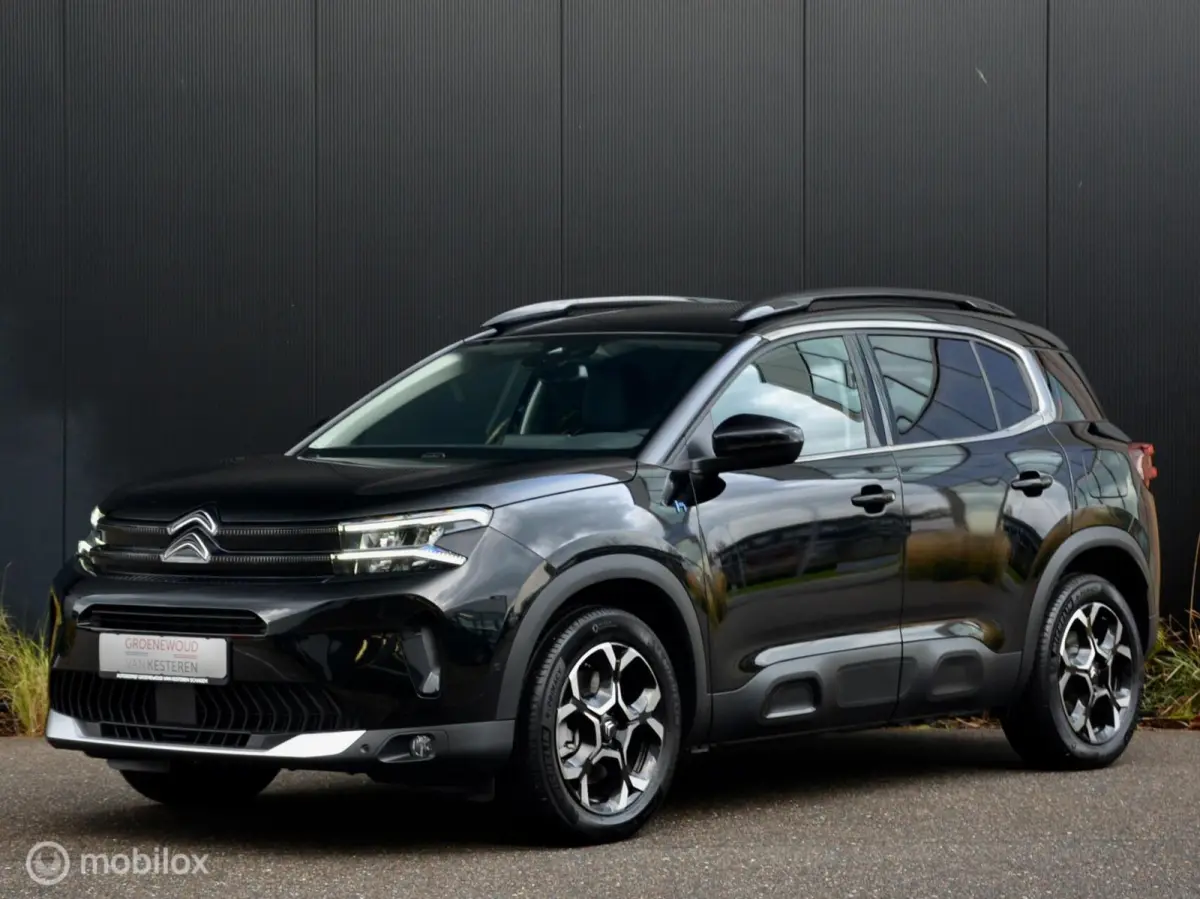 1.6 Plug-in Hybrid 225pk Max