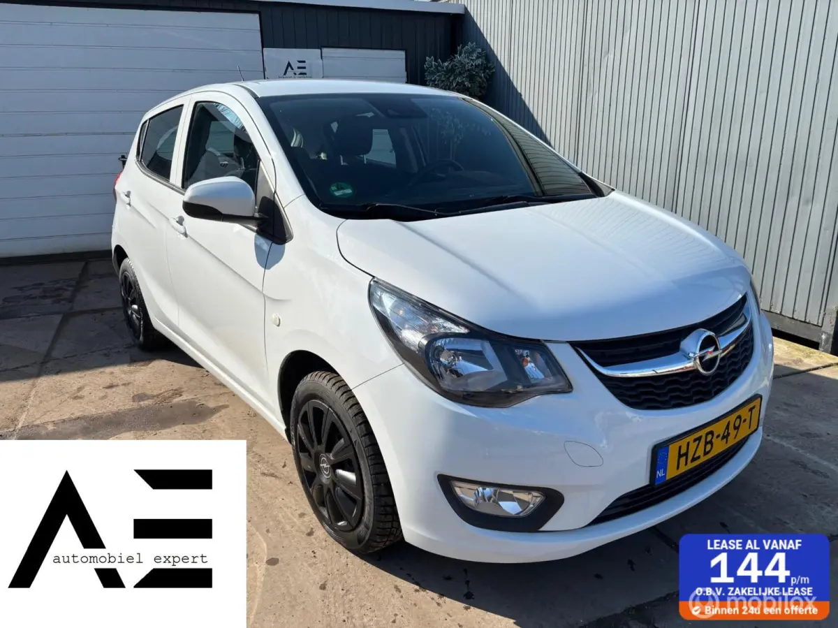 1.0 ecoFLEX Edition/AUTOMaat/PDC/Stoelverwarming